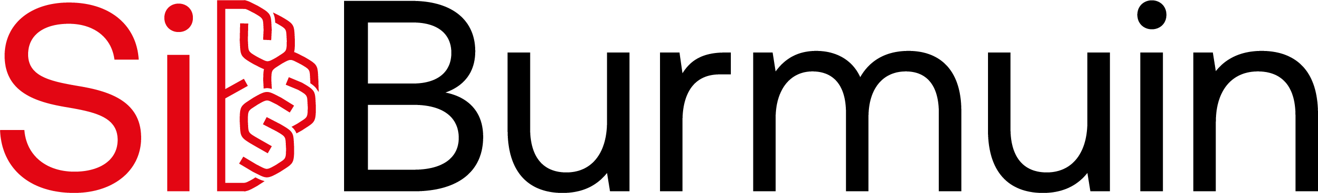 Silicon Burmuin